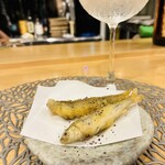 熟成魚と酒ドットジェイピー春夏冬 - 