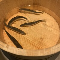 六花 - 