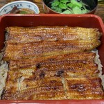 Unagi Hamana - 