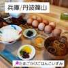 たまごかけごはん こいずみ