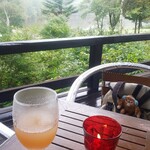 鏡池どんぐりハウス - この日は雨でモヤッてますが、テラス席から鏡池が良くみえます。100％葡萄ジュース、美味しすぎてちびちび味わってしまいました(笑)