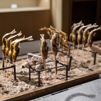 囲炉裏と日本料理 松風庵 - 囲炉裏 鮎の塩焼き