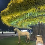 ダイアモンドターン - 