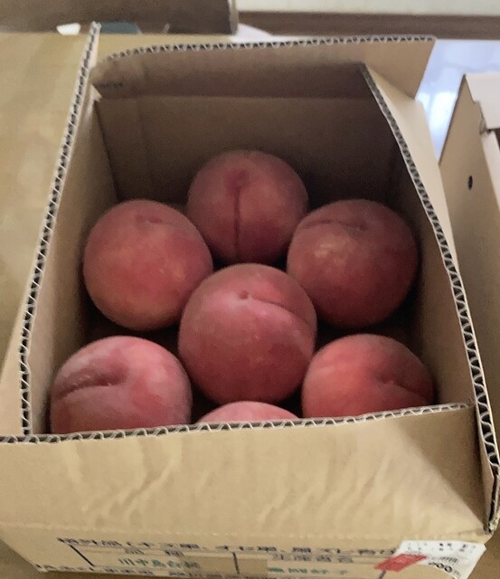 JAふくしま未来農産物直売所 桑折フレッシュBOX - 桑折（その他）の写真