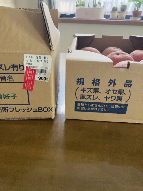 JAふくしま未来農産物直売所 桑折フレッシュBOX - 桑折（その他）の写真