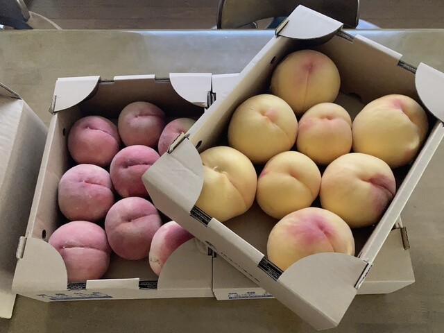 JAふくしま未来農産物直売所 桑折フレッシュBOX - 桑折（その他）の写真