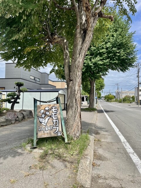 モモカフェ リリーベル（Lily Bell） - 神楽岡（カフェ）の写真