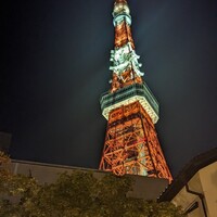 東京 芝 とうふ屋うかい - うかいからの東京タワー