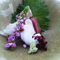 先斗町 魯ビン - 