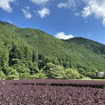 竈炊き立てごはん 土井 本店 - 