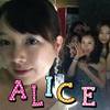 Bar Alice