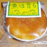 甘泉堂 本町店 - 「コシヒカリの里【魚沼育ち】」1個\130（ばら売り可能）です(2013/9/24UP)