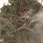 レストラン・モリエール - 