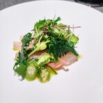 malca - 真サバカルパッチョ。紫蘇のフリットがパリパリ、シャキシャキきゅうりミョウガオクラとナイスマッチング。