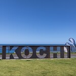 SOUTH HORIZON BREWING - 