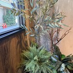 メンヤ ニュークラシック 中津店 - 