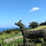 一夜城 ヨロイヅカ・ファーム - 