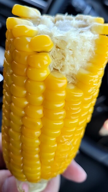 福井農園 - 納内（その他）の写真