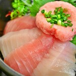 Maguroya Honten - ねぎとろ＋中とろ２色丼