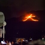 ビストロ割烹 YAOYA - 