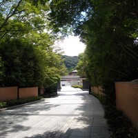 ジョバーノ - 