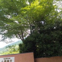 ジョバーノ - 