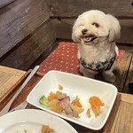 犬茶屋本舗 - 