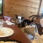 레스토랑 GUMBO - 