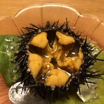 ななせ - 雲丹のお造り