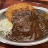 カレーの市民アルバ SUNAMO店