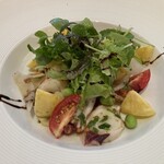 カサリンゴ - 真ダコ・ジャガ芋・セロリのサラダ