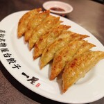 高知名物屋台餃子 一屋 - 