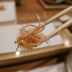 天婦羅 みやしろ - 車海老の顎足