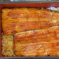 駒形前川 浅草本店 - うな重 駒形前川 浅草本店 - うな重