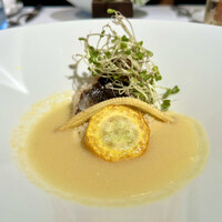 Wattle Tokyo - 