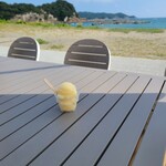 高知県立 足摺海洋館 サトウミ - 料理写真: