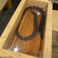 にょろ助 銀座 - 