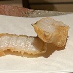 ぬま田 - 【 コシアブラ 】