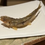 ぬま田 - おまけの稚鮎