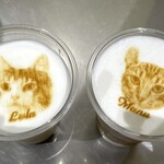Cat Cafe MOFF - ドリンク写真:アイスチャイ（左）、アイスカフェラテ（右）550円