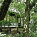 Furiko Sabou - 陽光透過樹葉灑落的咖啡館