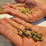 ​Philosophia ​coffee Roaster - 