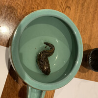 北陸料理 新越 - 