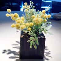 Wattle Tokyo - 