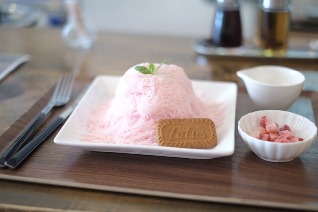 Kirameki no Katsuobushi