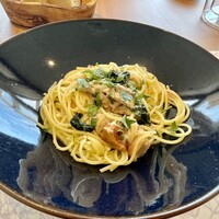 GLICINE di ACQUA PAZZA - 
