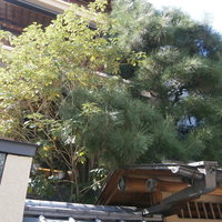 京都 権太呂 本店 - 2013.9.21訪問：外観