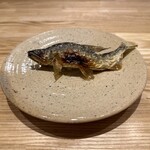 旬菜旬魚 たじま - 