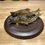 旬菜旬魚 たじま - 