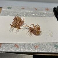 天ぷら 福たろう -  天ぷら 福たろう -